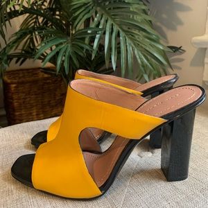 Yellow Zara Mules